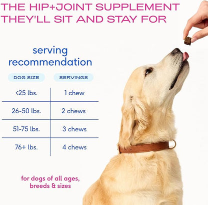 Native Pet Mobility Care - Hip & Joint Supplement for Dogs - UC-II Collagen, Egg Shell Membrane & Hyaluronic Acid - Dog Joint Supplement Chews Supports Cartilage, Mobility & Flexibility - 60 Chews