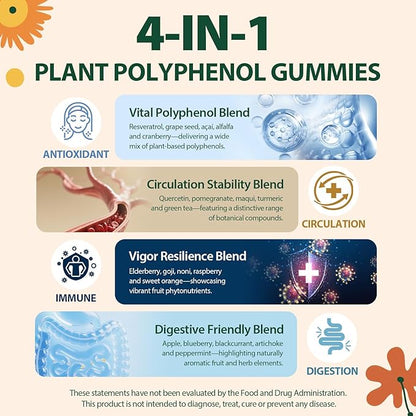 Polyphenol Gummies, Plant-Based Formula with Resveratrol, Elderberry, Grape, Turmeric,Green Tea, Cranberry Extract, Vitamins & Minerals, Superfood Blend, Mixed Berry Flavor, 60 Gummies