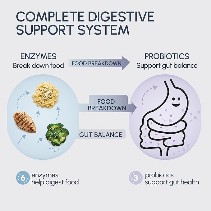 Digestive Enzymes for Bloating & Gas – Supports Food Breakdown & Nutrient Absorption – 6 Enzymes + 3 Probiotics – Complete GI Health Supplement - RIGHTmyGUT Daily Digestive Support – 60 Vegan Capsules
