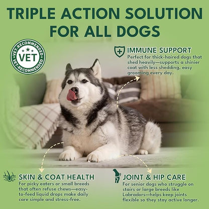 Liquid Collagen for Dogs, Natural Dog Collagen for Skin & Coat Support, Immune Support, Joint & Mobility Care with MSM, Middle-Aged and Older Dogs (Bacon Flavor - 60ml)