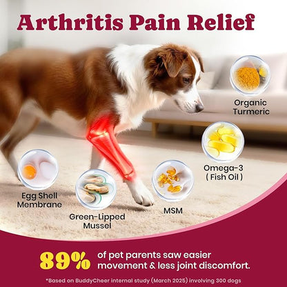 Glucosamine for Dogs - Hip and Joint Supplement Chews for Senior & Large Breed, Joint Supplement for Dogs with Chondroitin, Wuffe Joint Chews for Pain Relief - 60-Day Satisfaction Guarantee - 180 Ct