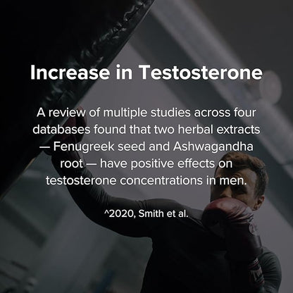 Peak Potential 12-in-1 Testosterone Support for Men – Natural Strength, Energy & Muscle Builder with Tongkat Ali, Ashwagandha & Fenugreek – 90 Capsules