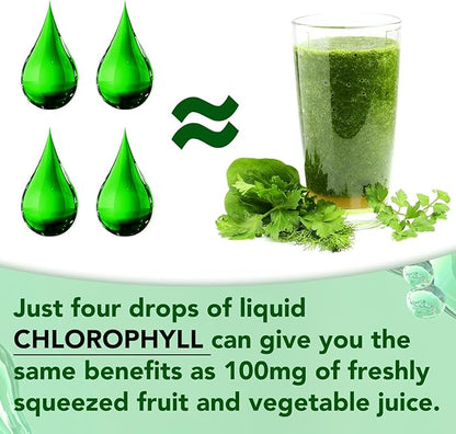 Chlorophyll Liquid Drops, Organic Liquid Chlorophyll Body Deodorizing, Supports for Odor Balance, Natural Body Freshness, Body Odor Control, Fresh Breath, 60ml 2Bottle.