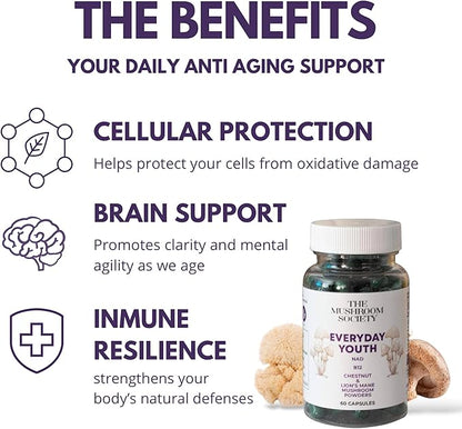 Everyday Youth - Anti-Aging Supplement - Brain & Cellular Energy Formula – Lion’s Mane, Chestnut, NAD, B12 + Beta-Glucans - 120 Vegan Capsules