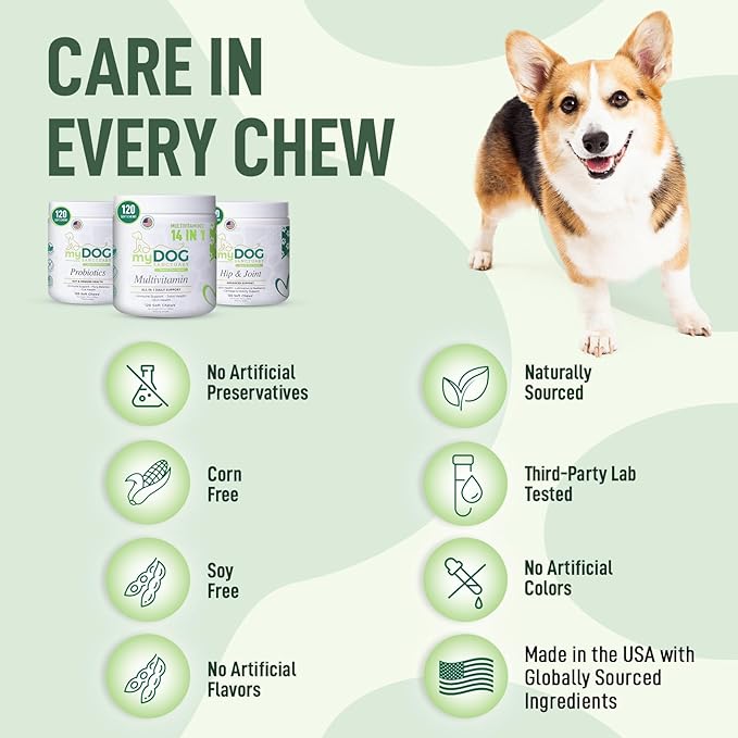 120 Chews Hip and Joint Supplement for Dogs - Glucosamine, Chondroitin & MSM,Dog Joint Supplement - Mobility, Flexibility & Cartilage Support - Bacon Flavor