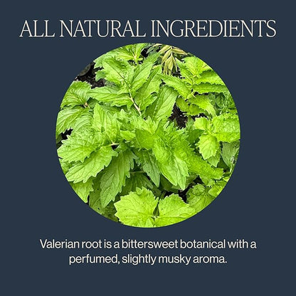 Rishi Tea Valerian Dream Herbal Tea - Organic Sachet Tea Bags, Sleep Friendly, Caffeine Free, Calming Botanical Blend with Valerian Root - 15 Count (Pack of 1)