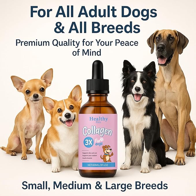 Premium Liquid Collagen for Dogs - Skin & Coat Supplement with Hyaluronic Acid & Biotin, Supports Joint Health, Mobility & Hydration for All Dogs, Bacon Flavor - 2 fl oz (3)