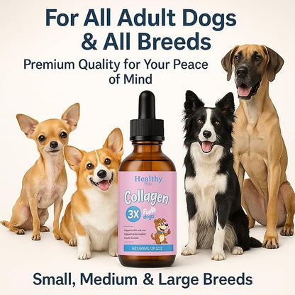 Premium Liquid Collagen for Dogs - Skin & Coat Supplement with Hyaluronic Acid & Biotin, Supports Joint Health, Mobility & Hydration for All Dogs, Bacon Flavor - 2 fl oz (3)