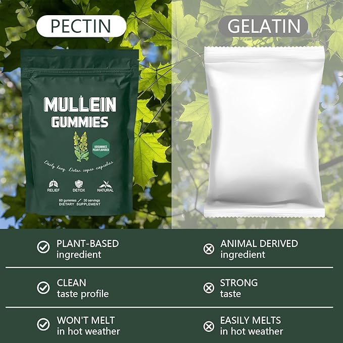 Mullein Gummies, Daily Respiratory Health Gummies,1000mg Mullein Leaf herb Extract, Pear Flavor, Lung Health & Sinus Relief (30 Day Supply)