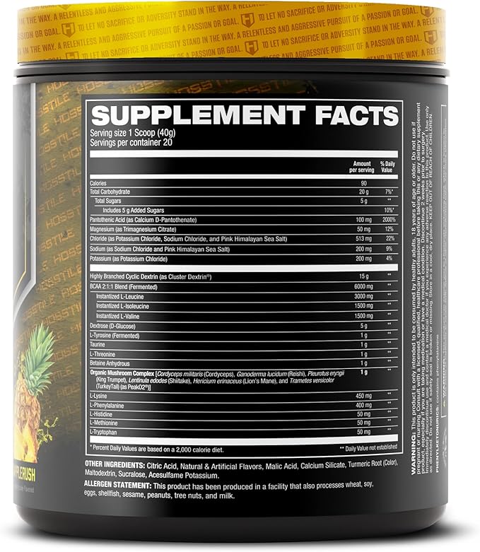 HOSSTILE Intra[R3] Intra Workout Powder, EAA & BCAA Drink with Carbs, Enhance Energy & Endurance, Build Lean Muscle & Improve Recovery, Pineapple Rush, 20 Servings
