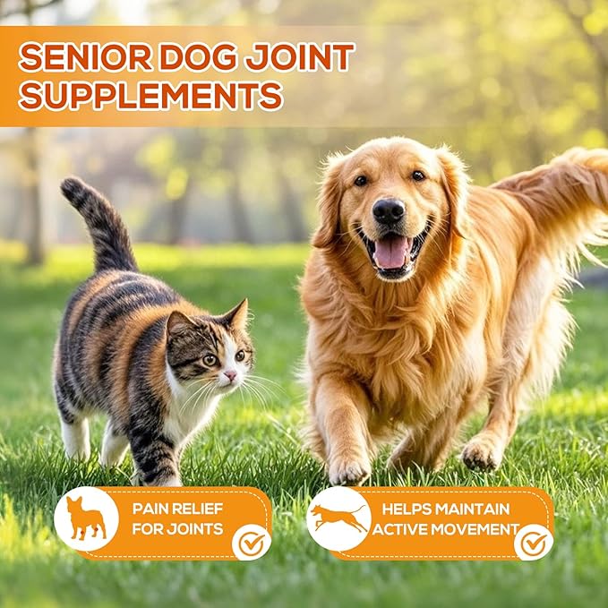 Turmeric Curcumin for Dogs – Hip & Joint Support, Heart & Immune Health Supplement, Immune System Booster, Joint Care for All Breeds & Ages, 60 Chewable Tablets