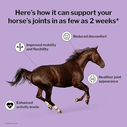 Formula 707 Joint 6in1 Equine Supplement 20 lb Bag – Support for Joint Integrity and Inflammatory Response in Horses – Green-Lipped Mussel, MSM, Glucosamine, Chondroitin & Collagen