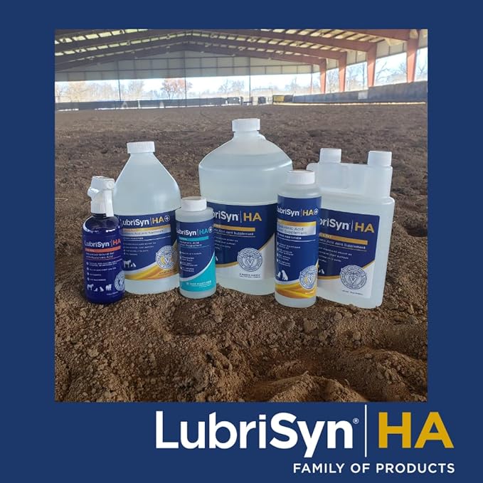 LubriSynHA Hyaluronic Acid Hip & Joint Care Supplement for Dogs, Cats & Horses – Liquid Oral HA for Pets – Joint Support Supplement Promotes Mobility, Flexibility, Cartilage Health & Comfort – 64oz