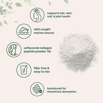 Micro Ingredients Marine Collagen Peptides Powder, 1 lb | Type I Marine Collagen + Natural Protein | Wild-Caught Fish Source | Unflavored | Pescatarian, Non-GMO