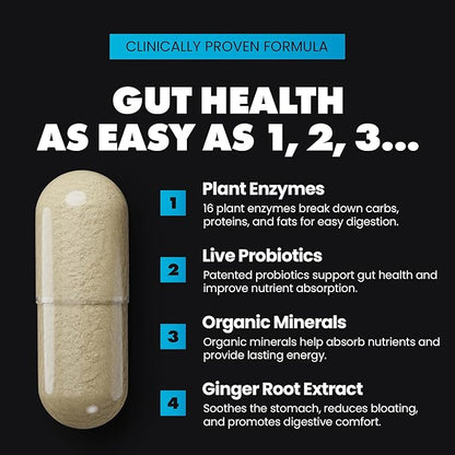 Gains in Bulk Total Digest, Digestive Enzymes, Prebiotics and Probiotics for Digestive Health, Bloating Support, Gut Health for Women and Men, Promotes Protein, Carb and Fat Digestion, 90 Capsules
