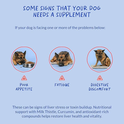 Milk Thistle for Dogs - 90 Soft Chews - Liver and Kidney Support - Hepatic Support with EPA & DHA - Detox - Liver Supplement for Dogs with Choline and L-Arginine.