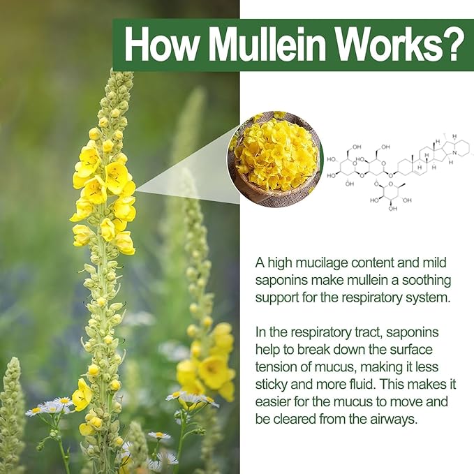 NEVISS Mullein Gummies for Lungs, Organic Mullein Leaf Extract 1000mg for Respiratory System with Quercetin & Bromelain, D3 for Digestive Support, Immune Booster, Sugar Free, Vegan, 120 Count