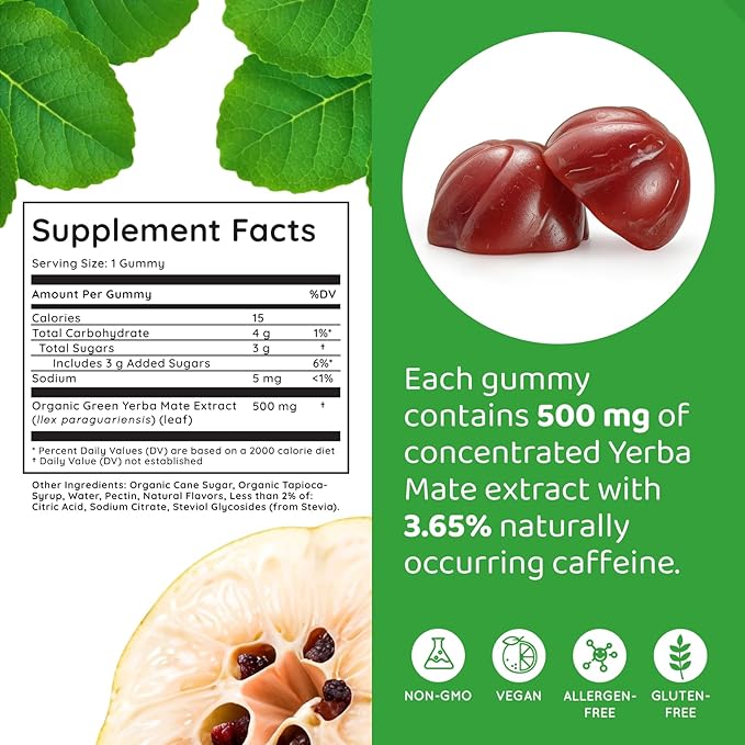 HOLYMARY Yerba Mate Gummies, Quince - Made with Organic, Unroasted Yerba Mate. Free from Added Caffeine. Vegan, Non-GMO, Gluten-Free, Kosher. 50 Delicious Supplement Gummies