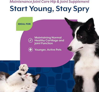 NaturVet Glucosamine DS Level 1 Maintenance Care Hip & Joint Support Pet Supplement for Dogs & Cats –Glucosamine, Chondroitin, Antioxidants –Supports Cartilage, Joint Function – 60 Ct.