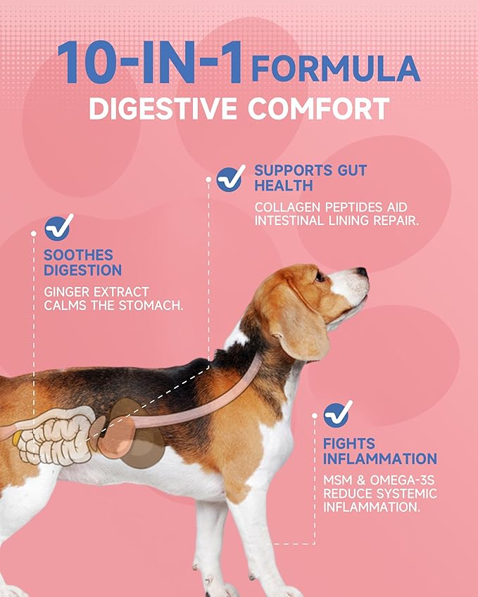 Premium Collagen for Dogs & Cats Skin and Coat Supplement, 10 in 1 Liquid Collagen for Cats -Support for Joints, Hips, Skin & Coat Health with Hyaluronic Acid, Biotin, MSM - Roast Chicken Flavor