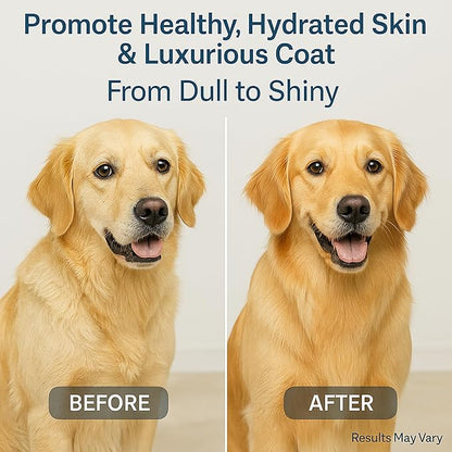Premium Liquid Collagen for Dogs - Skin & Coat Supplement with Hyaluronic Acid & Biotin, Supports Joint Health, Mobility & Hydration for All Dogs, Bacon Flavor - 2 fl oz (2)