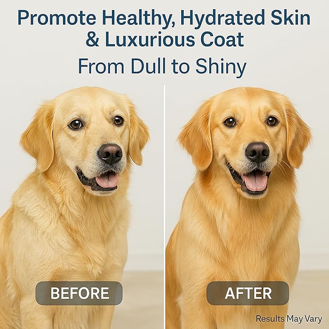 Premium Liquid Collagen for Dogs - Skin & Coat Supplement with Hyaluronic Acid & Biotin, Supports Joint Health, Mobility & Hydration for All Dogs, Bacon Flavor - 2 fl oz (1)