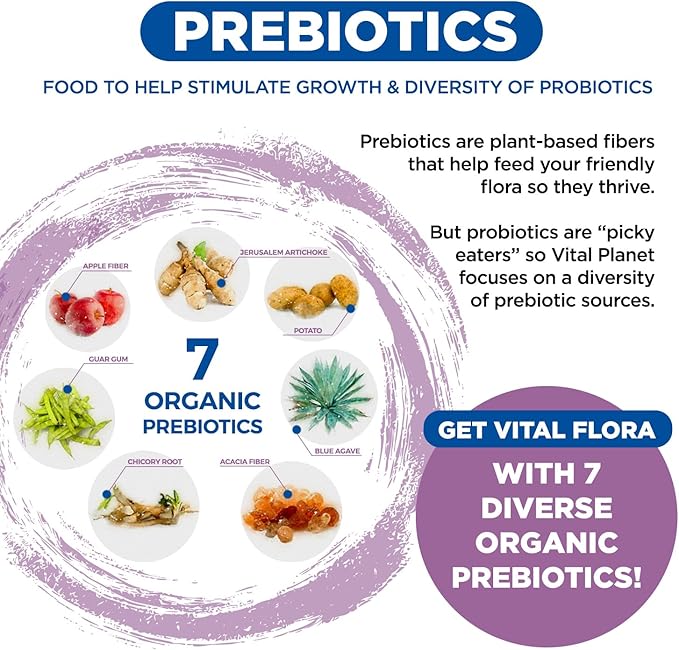 Vital Planet - Vital Flora Women’s Daily Probiotic 60 Billion CFU, 60 Diverse Strains, 7 Organic Prebiotics, Vaginal and Immune Support, Bloating, Digestive Health Probiotics for Women 60 Capsules