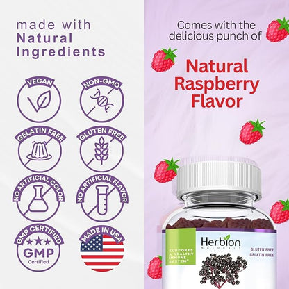 HERBION Elderberry Gummies with Vitamin C & Zinc, Healthy Immune System Support, Gluten-Free & Gelatin-Free, 60 Gummies for Adults & Children 4 Years & Above, Made in USA, Pack of 4