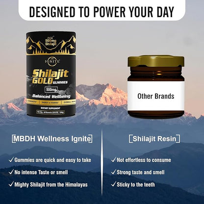 Pure Himalayan Shilajit Gummies – 75%+ Fulvic Acid, High Potency Gold Grade – Blend for Energy, Vitality & Immune Support, Travel - Friendly, Tamarind Flavor – 60 Gummies