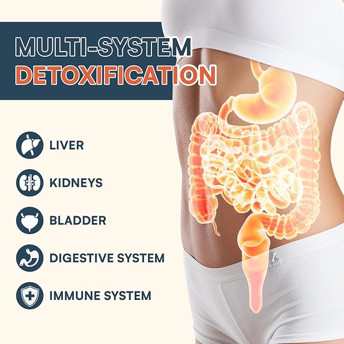 Detox Powder Supplement for Men & Women, Natural Herbal Formula for Liver, Kidney & Digestion, Natural Flavor, 30 Servings