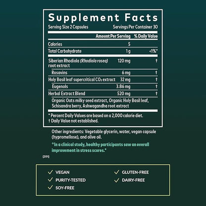 Gaia Herbs Adrenal Health Daily Support - Herbal Supplement with Ashwagandha, Holy Basil & Schisandra - Help Maintain Healthy Energy & Stress Levels* - 60 Vegan Liquid Phyto-Caps (30 Servings)