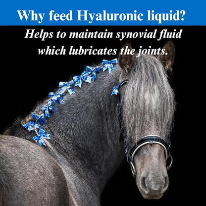 SU-PER Hyaluronic Joint Supplement for Horses - Supports Joints Health & Lubrication - Horse Hyaluronic Acid Liquid - 1 Gallon, 4 Month Supply