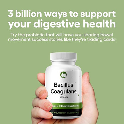 Natural Foundation Supplements Bacillus Coagulans Probiotic Supplement 240 Tablets 3 Billion CFU Probiotics for Men & Women Supports Intestinal Digestive & Gut Health (240, Bacillus Coagulans)