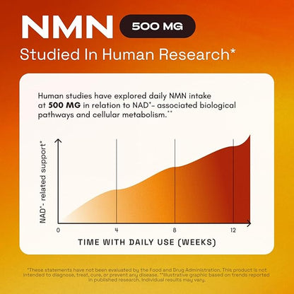 NMN Supplement – 4-in-1 NAD Supplement with Quercetin | TMG | Resveratrol – NMNH Alternative – Supports Cellular Energy & NAD+ Level – 60 Capsules – Third-Party Tested (1 Pack)