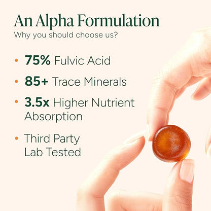 ROOT LABS 10-in-1 Alpha Shilajit Gummies | 4000 mg Pure Himalayan Shilajit with Tongkat Ali & Maca Root | Shilajit for Men & Women | ShilAbsorb Bioavailability Tech | Sugar-Free, Vegan | 60 Gummies