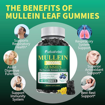 2 Packs 3000MG Organic Mullein Gummies for Lung, Mullein Leaf Extract for Lungs - Quercetin, Bromelain for Respiration，Immune and Digestive Support, 120 Count Blueberry Gummys