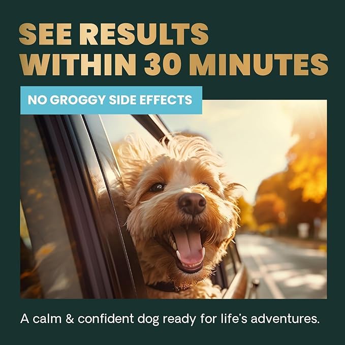 VetriScience Calm & Confident Chews, Composure Clinically Tested Calming and Anxiety Supplement for Dogs, Reduce Stress and Fear, Ideal for Thunderstorms, Fireworks and Travel, Chicken, 120 Count