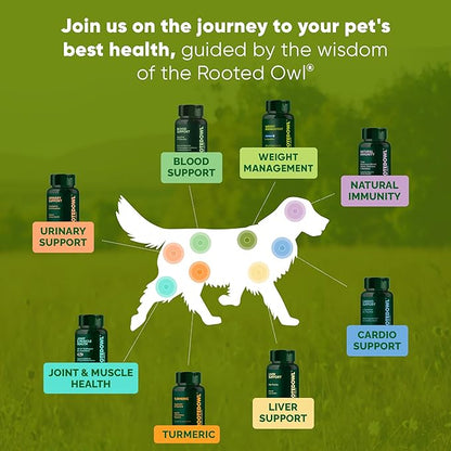 Rooted Owl Joint and Muscle Support for Large Dogs (Over 30 Lbs) - Supplement with UC-II Type II Collagen and L-Carnitine - 30 Count