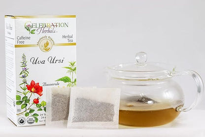 CELEBRATION HERBALS Uva Ursi Tea Organic 24 Bag, 0.02 Pound