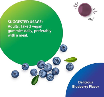 Rainbow Light Mushroom Power Complex Supplement | 60 Gummies | 10 Types of Premium Mushrooms Including Lion's Mane, Poria, Shiitake, Turkey Tail & More | Delicious Blueberry Flavor