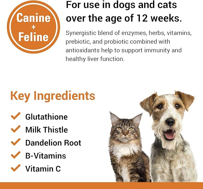 Vet Classics Liver Support Pet Health Supplement for Dogs, Cats – Liver Functions – B-Vitamins, Glutathione, Milk Thistle – Soft Tablets, Chews – 60 Soft Chews