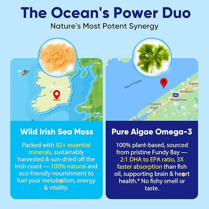2 Pack Sea Moss Gummies for Men Women, Vegan 15-IN-1 Irish Seamoss Superfood with/Bladderwrack & Burdock Root, Turmeric, Elderberry, Vitamins B12 D3, EPA DHA, Sugar-Free, Support Energy, Brain, Immune