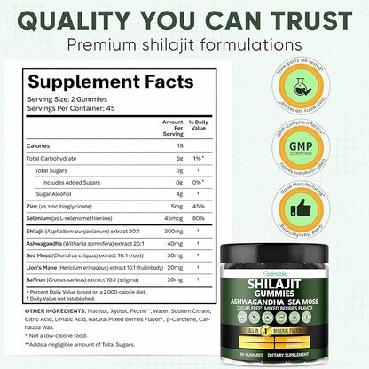 Adndale Himalayan Natural Shilajit Gummies for Men & Women, Sugar-Free Mixed Berries Flavor - with Ashwagandha, Sea Moss, Lion’s Mane & Saffron + Zinc & Selenium - 90 Gummies (45 Servings)