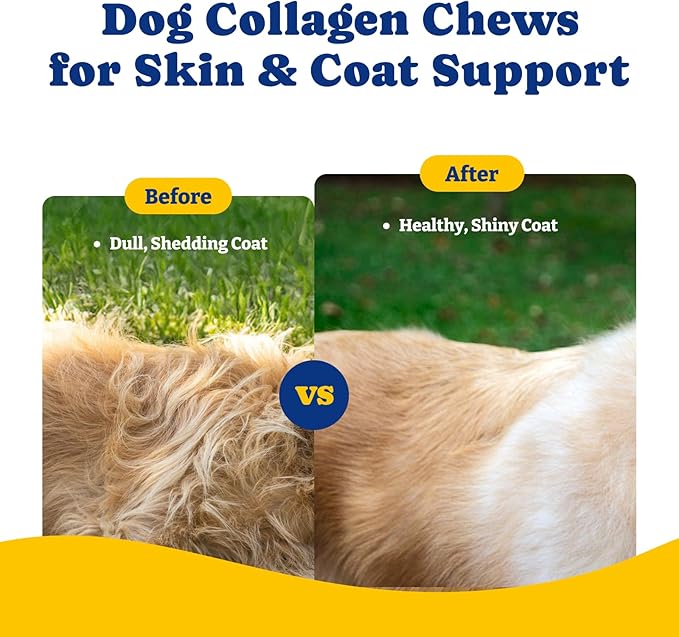 Collagen for Dogs - Collagen Soft Chews for Hip, Joint, Cartilage & Mobility Support, Skin & Coat Supplement for Dogs, with Types I, II & III Collagen and Superfood - 120 Count, Duck & Pear Flavor