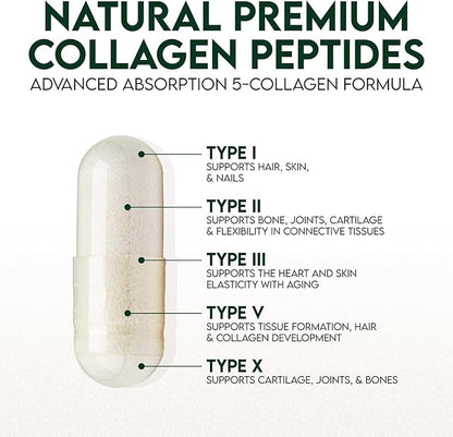 Multi Collagen 2400mg Per Serving - Advanced Formula Types I, II, III, V, X - Hydrolyzed Multi Collagen Pills - Collagen Peptides Supplement for Women & Men - Hair, Skin, & Nail Support - 120 Capsules