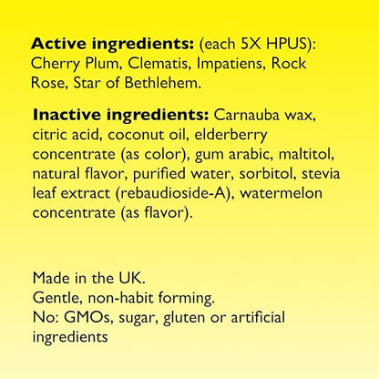 Bach RESCUE PASTILLES, Watermelon Flavor, Stress Relief Lozenges, Homeopathic, Flower Essences, 35 Count