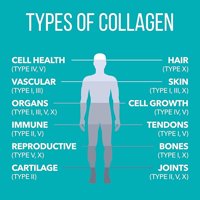 NaturesPlus Collagen Peptides - 0.65 lbs Powder, Pack of 2 - Hair, Skin, Nail & Joint Health, Immune System Support - Non-GMO, Gluten Free - Up to 56 Total Servings