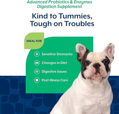 NaturVet Advanced Probiotics & Enzymes, PB6 Dog Soft Chews to Help Sensitive Stomachs and Digestive Issues, Hickory Smoked Bacon Flavored Pet Supplement for Dogs Over 6 Weeks, 120 Count Jar
