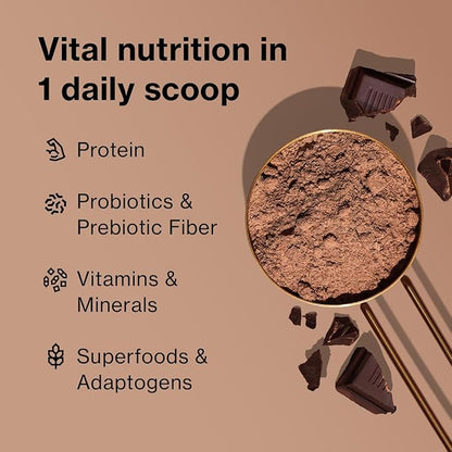 BODi Shakeology Whey-Based Protein Powder – Gluten-Free Superfood Shake with Vitamins & Minerals – Helps Support Healthy Weight Loss & Gut Health, Chocolate, 14 Individual Packets