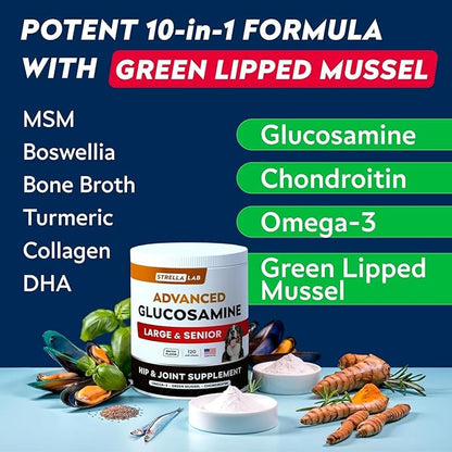STRELLALAB Advanced Glucosamine Hip & Joint Supplement for Senior Dogs - Green Lipped Mussel & Collagen - Hip & Joint Pain Relief - Large & Small Breed - Joint Health - Bacon - 240 Chews
